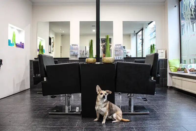 Friseursalon Friseursalon